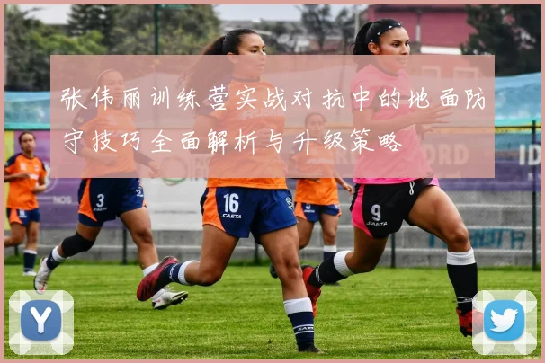 张伟丽训练营实战对抗中的地面防守技巧全面解析与升级策略