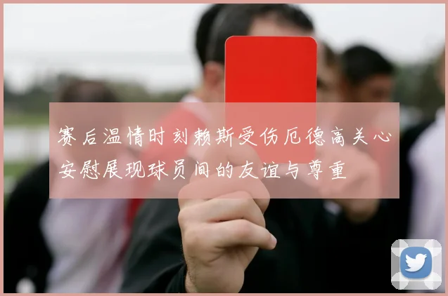 赛后温情时刻赖斯受伤厄德高关心安慰展现球员间的友谊与尊重