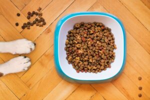 Pet Adoption Made Simple.  post image of a pet food