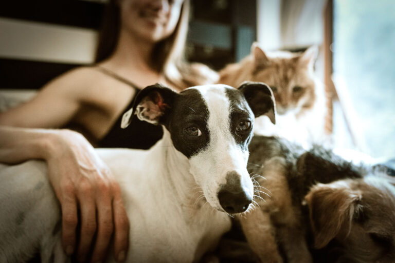 Why shop when you can adopt? A woman sitting with her adopted dogs.