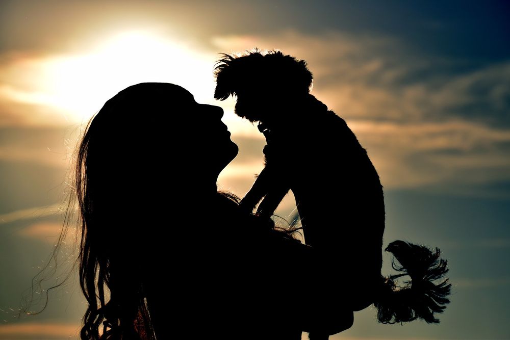 How To Deal Effectively With The Loss Of A Pet. Featured image, a silhouette of a woman holding her small dog in the air.